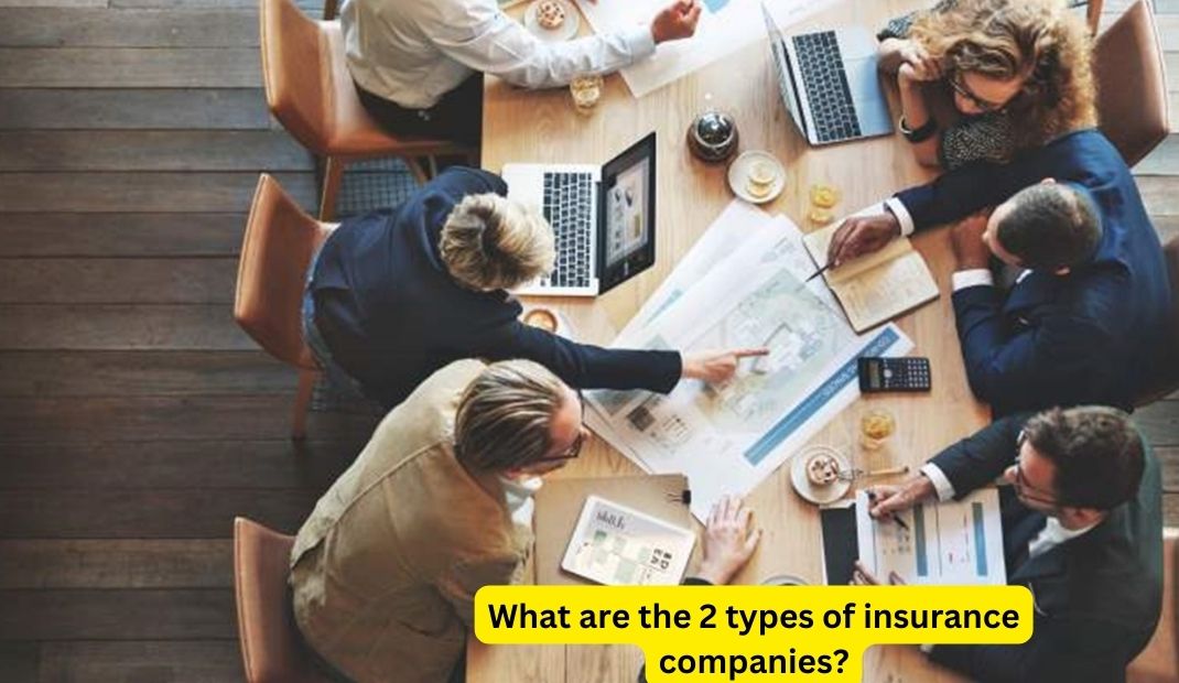 What are the 2 types of insurance companies?
